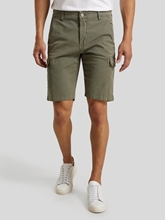 Bild von Bermudas MANE