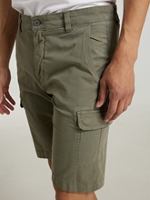 Bild von Bermudas MANE