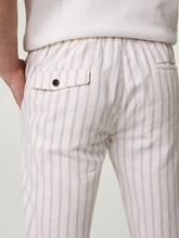 Bild von Chino mit Leinen