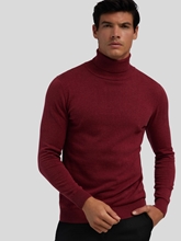 Image sur Pull à col roulé