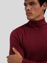 Image sur Pull à col roulé