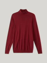 Image sur Pull à col roulé