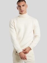 Image sur Pull à col roulé