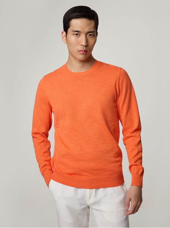 Bild von Pullover