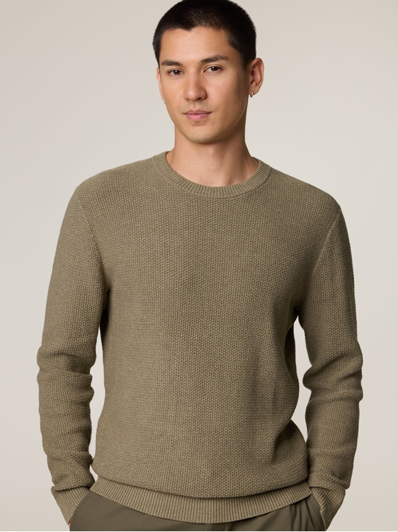 Bild von Pullover