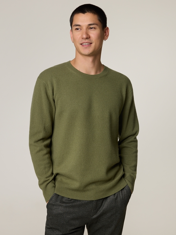 Bild von Pullover