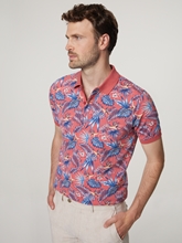 Bild von Poloshirt aus Bio-Baumwolle