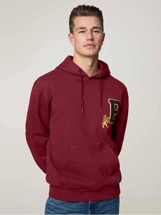 Bild von Hoodie aus Baumwolle