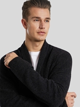 Bild von Cardigan im Regular Fit LARION