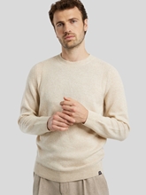 Bild von Pullover
