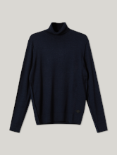 Bild von Rollkragenpullover im Regular Fit