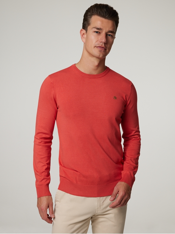 Image sur Pull Regular Fit