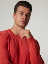 Image sur Pull Regular Fit