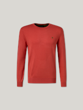 Image sur Pull Regular Fit