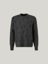 Image sur Pull à coupe régulière