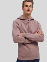 Bild von Hoodie mit Logo RAVEN