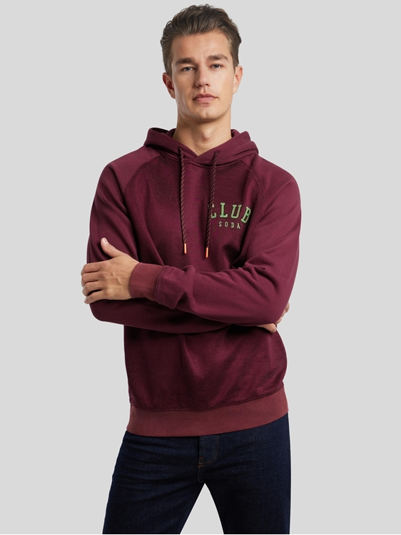 Image sur Hoodie à logo