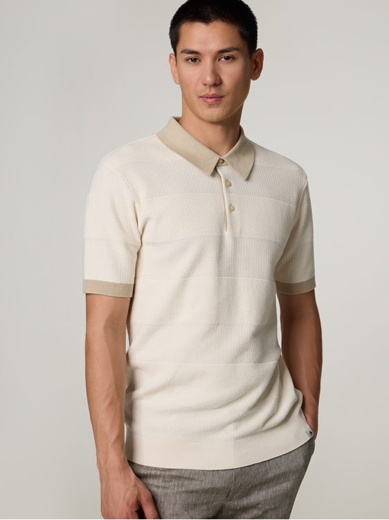 Bild von Poloshirt aus Strick
