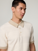 Bild von Poloshirt aus Strick