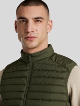 Bild von Leichte Steppweste