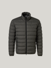 Bild von Steppjacke im Regular Fit