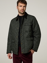 Bild von Steppjacke HORNBY