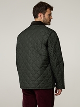 Bild von Steppjacke HORNBY