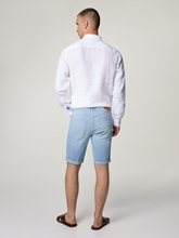 Bild von Bermudas CHRIS B