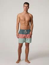 Image sur Short de bain DALE