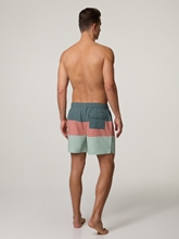 Image sur Short de bain DALE
