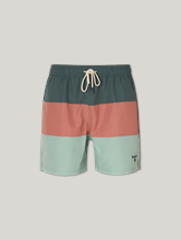 Image sur Short de bain DALE