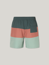 Image sur Short de bain DALE