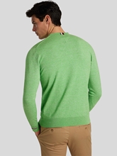 Bild von Pullover mit Logo