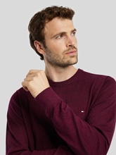 Image sur Pull coton Pima