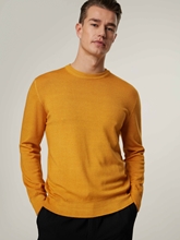 Bild von Pullover aus Wolle