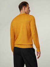 Bild von Pullover aus Wolle