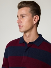 Bild von Langarm Poloshirt