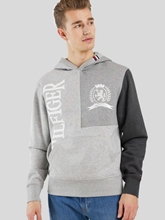 Bild von Hoodie mit Logo