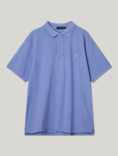Image sur Polo