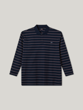Image sur Polo à rayures