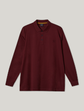 Image sur Polo
