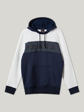 Bild von Hoodie mit Logo