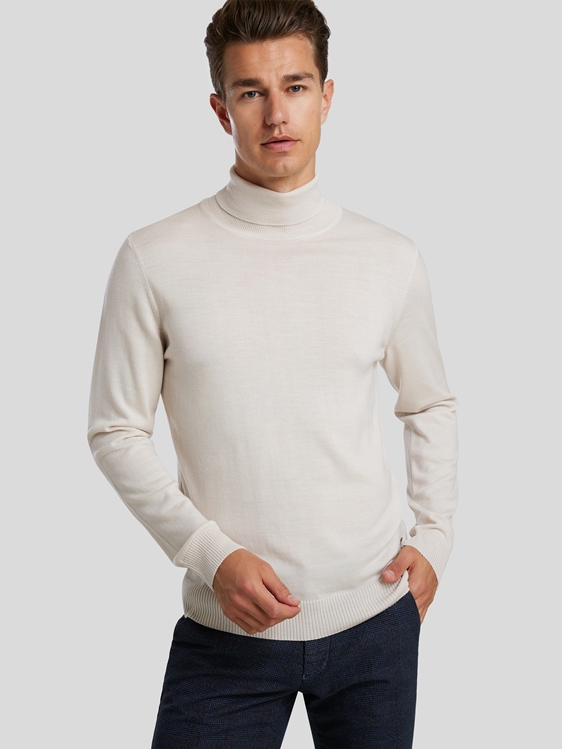 Bild von Rollkragenpullover