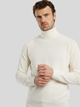 Bild von Rollkragenpullover