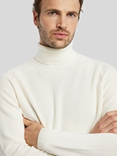 Bild von Rollkragenpullover