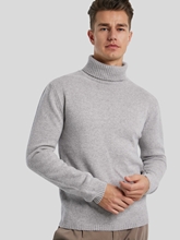 Bild von Rollkragenpullover