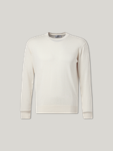 Bild von Pullover aus Baumwolle