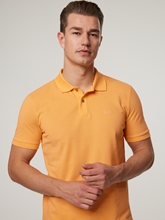 Image sur Polo regular fit PALLAS