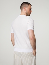 Image sur Shirt coton piqué TANTINO