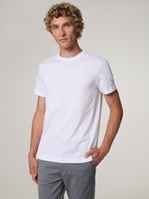 Image sur T-shirt en coton TAUT
